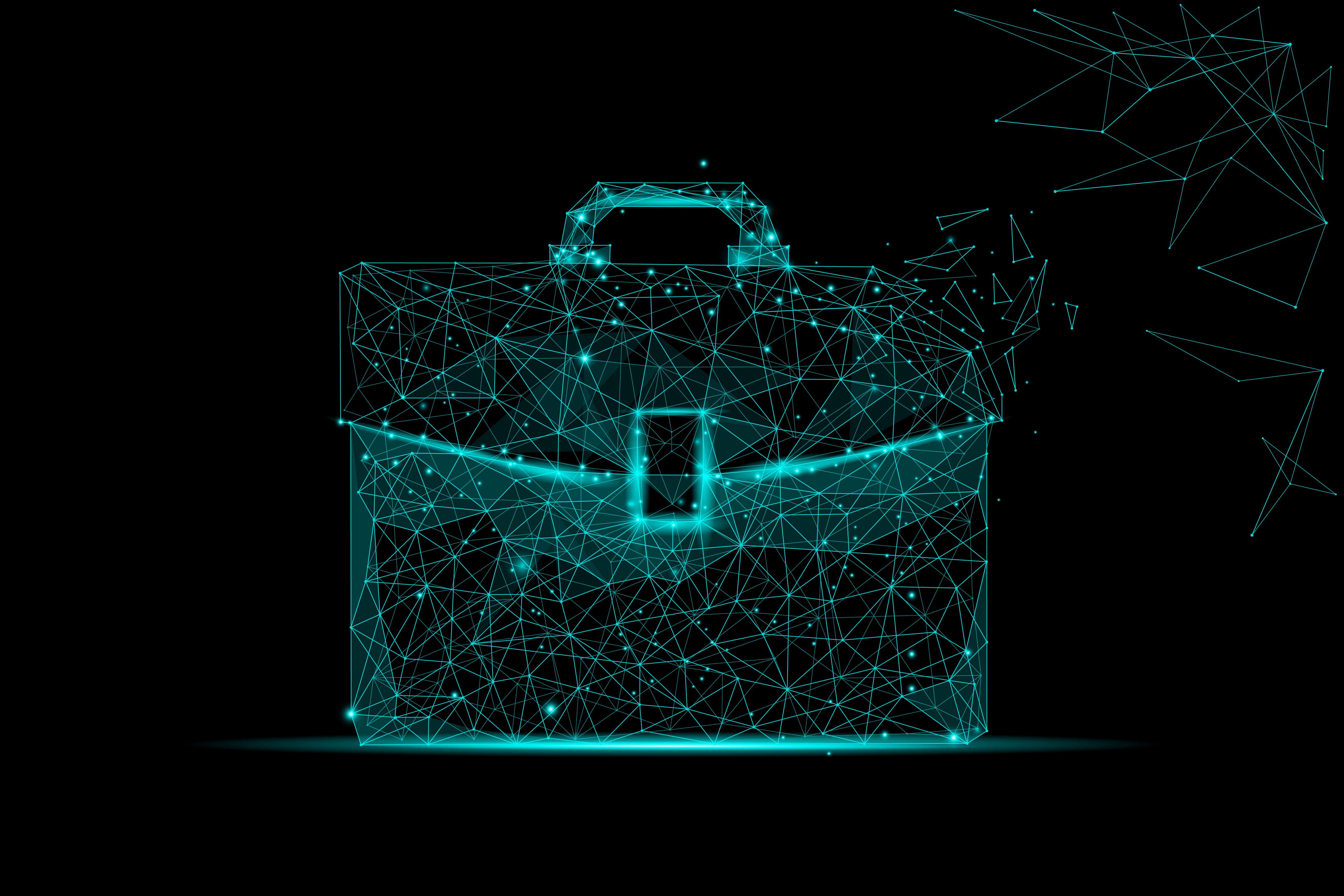 Investment Portfolio Overview